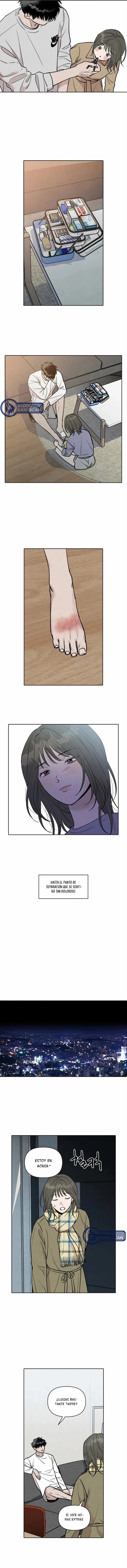 3 Recogí una serpiente cuando regresaba a casa del trabajo.