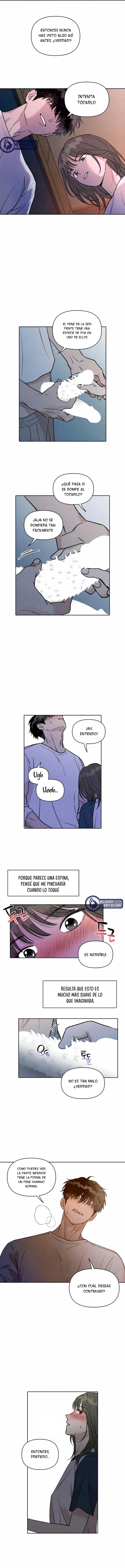 8 Recogí una serpiente cuando regresaba a casa del trabajo.