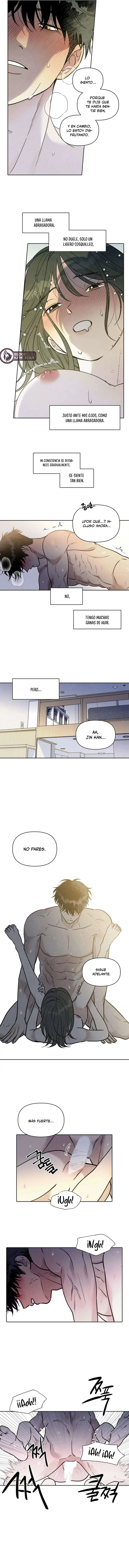 5 Recogí una serpiente cuando regresaba a casa del trabajo.