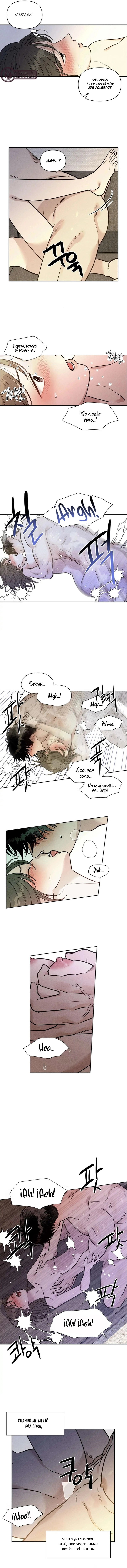 3 Recogí una serpiente cuando regresaba a casa del trabajo.