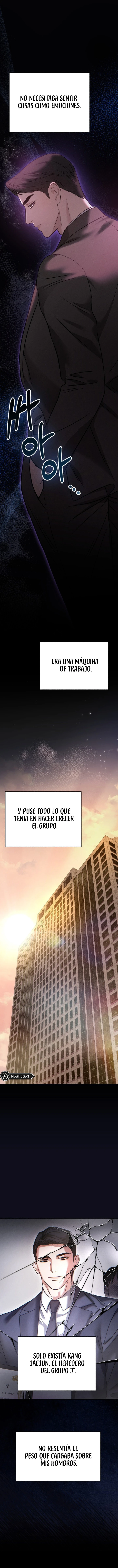 5 Compañeros nocturnos