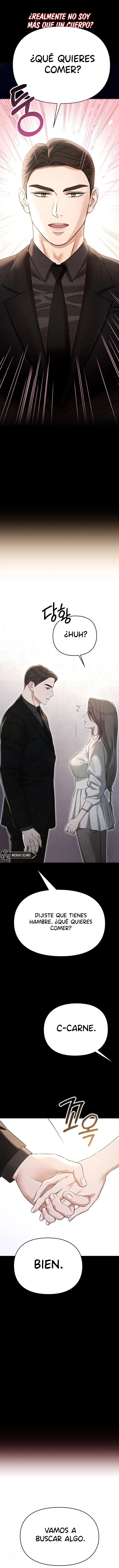 6 Compañeros nocturnos