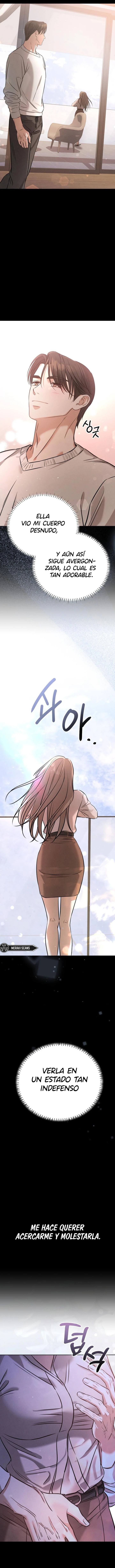 12 Compañeros nocturnos