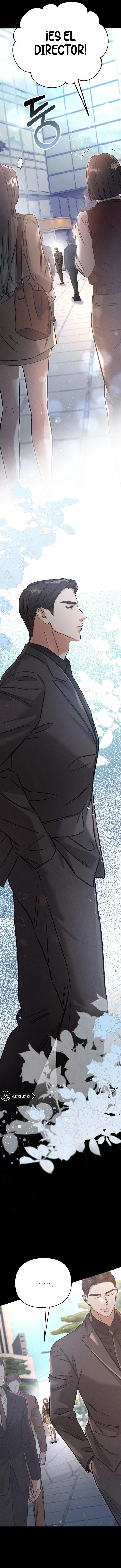 6 Compañeros nocturnos