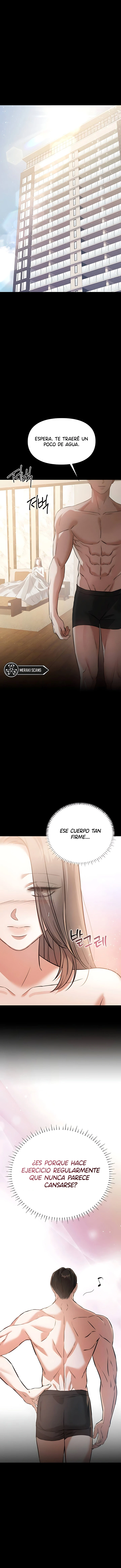 4 Compañeros nocturnos