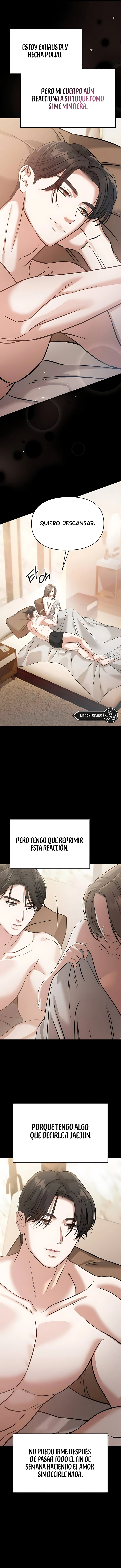 8 Compañeros nocturnos