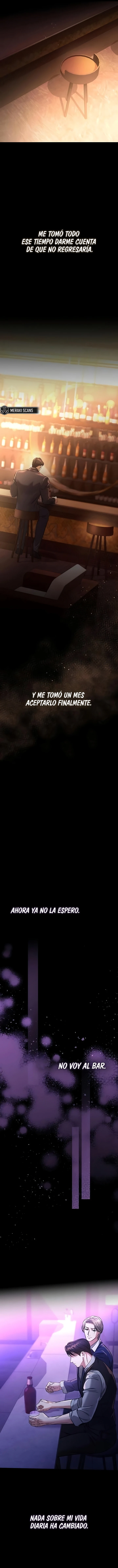 6 Compañeros nocturnos