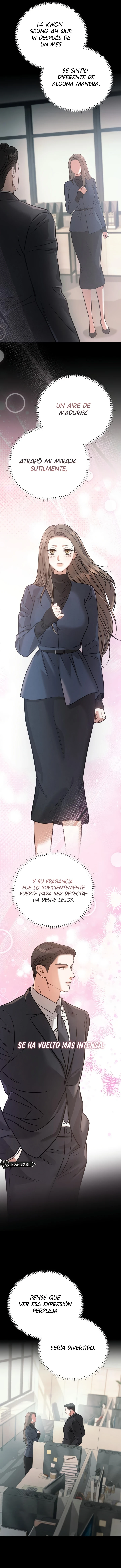 11 Compañeros nocturnos