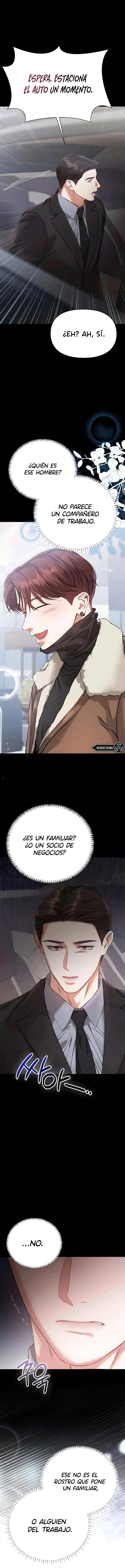 6 Compañeros nocturnos