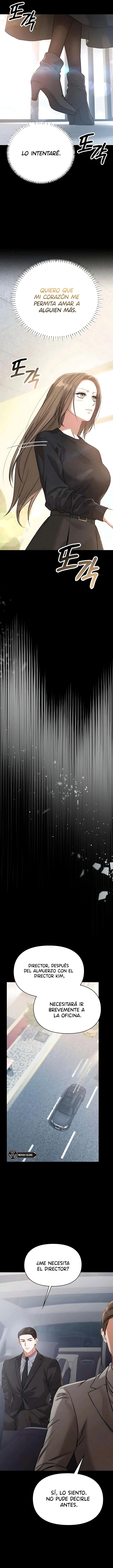 4 Compañeros nocturnos