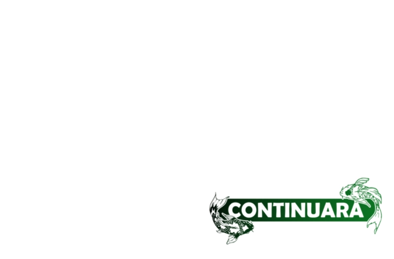 13 Un hombre que lo da todo