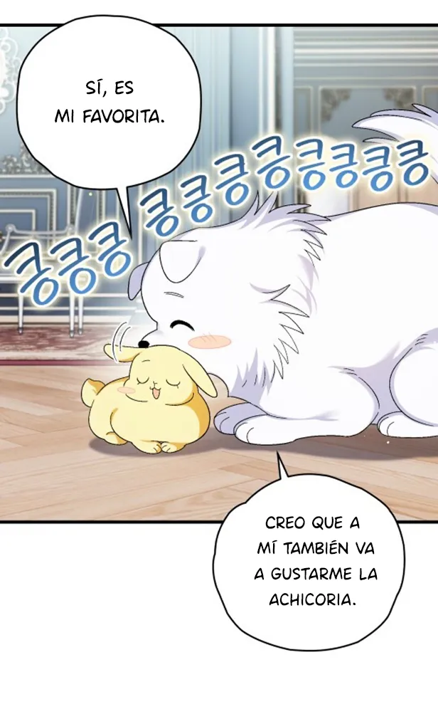 41 A Mi Querido Lobo