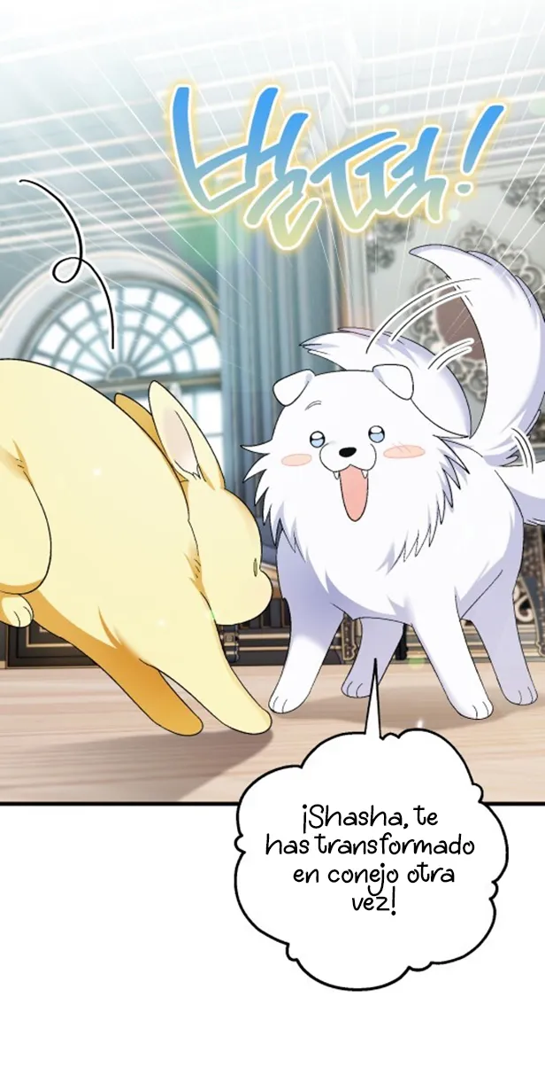 36 A Mi Querido Lobo