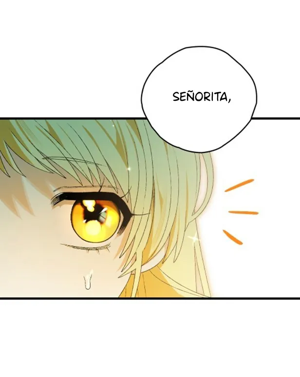 14 A Mi Querido Lobo