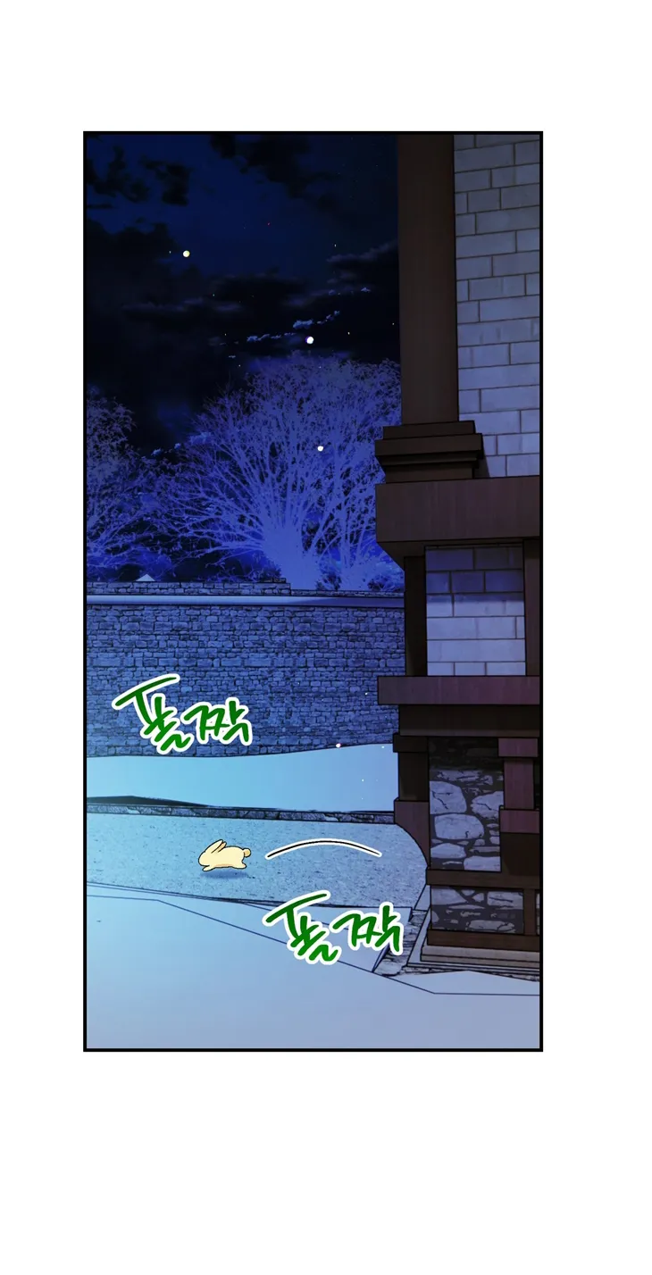 71 A Mi Querido Lobo