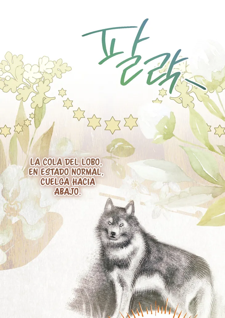 66 A Mi Querido Lobo