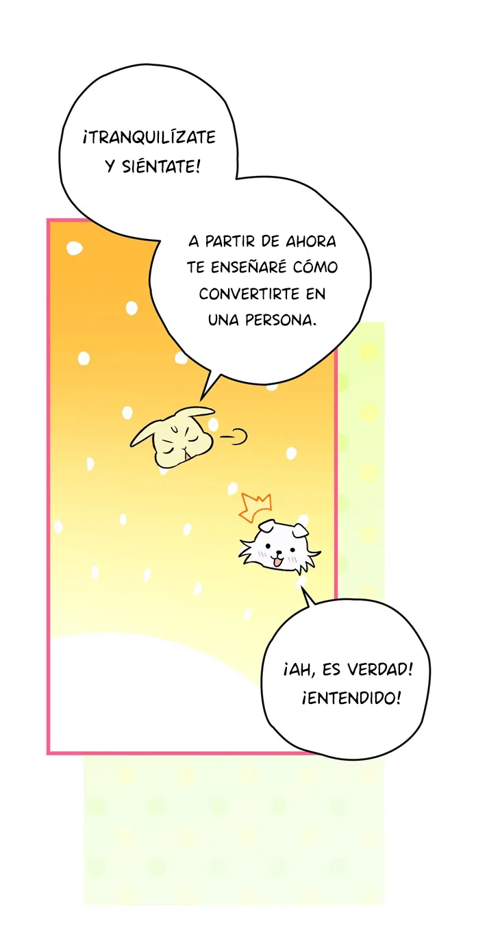 25 A Mi Querido Lobo