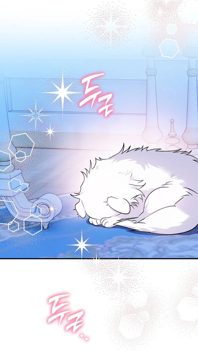 63 A Mi Querido Lobo