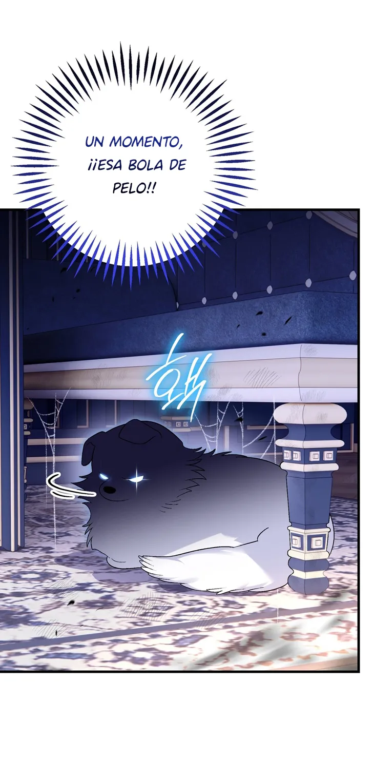 48 A Mi Querido Lobo