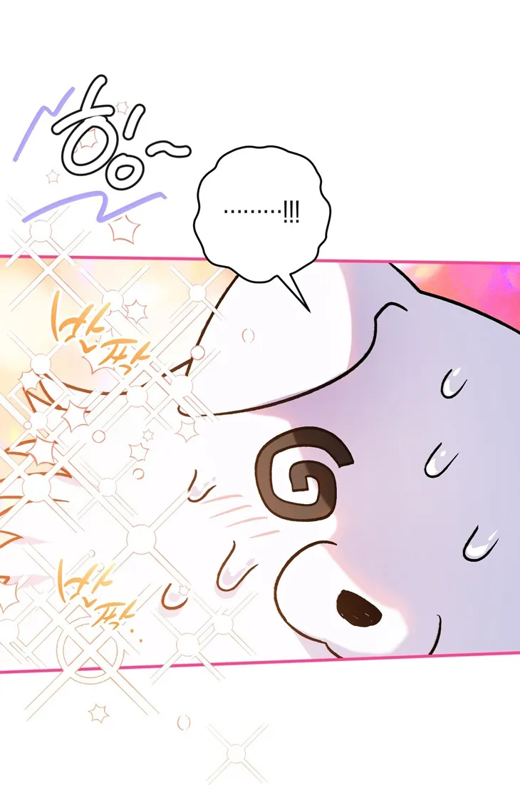 21 A Mi Querido Lobo