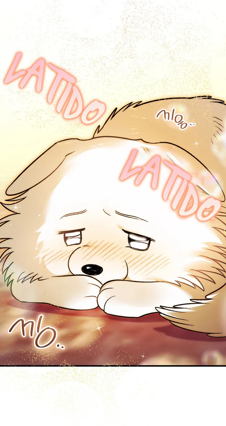 57 A Mi Querido Lobo