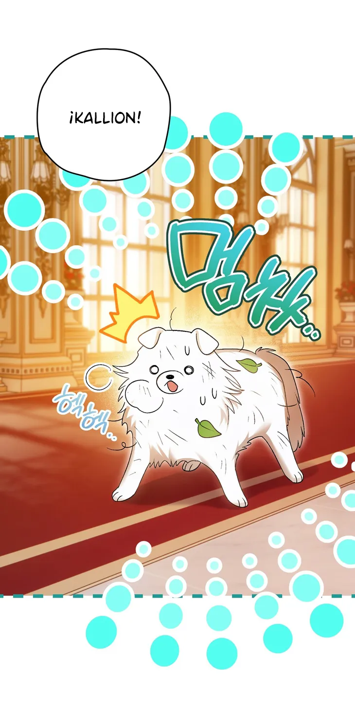 48 A Mi Querido Lobo