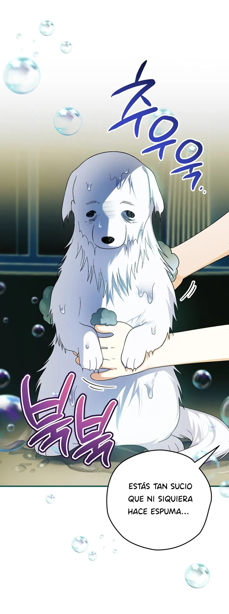 47 A Mi Querido Lobo