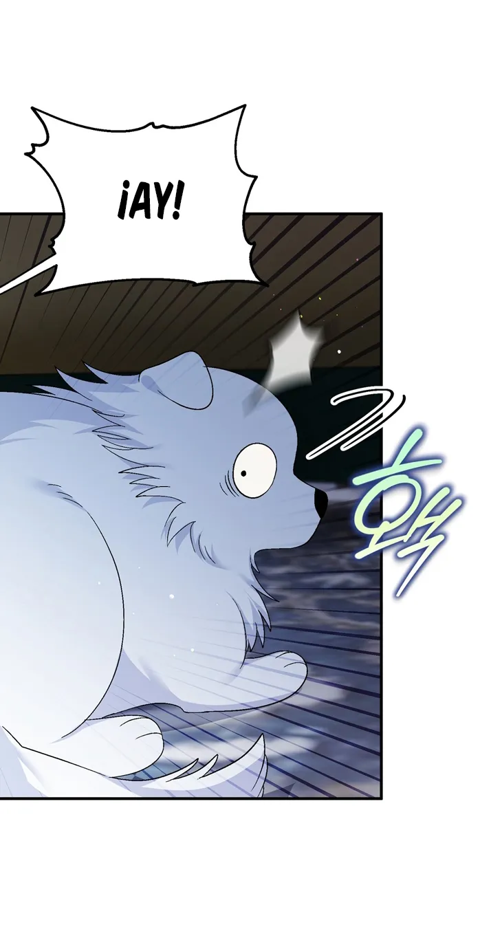 41 A Mi Querido Lobo