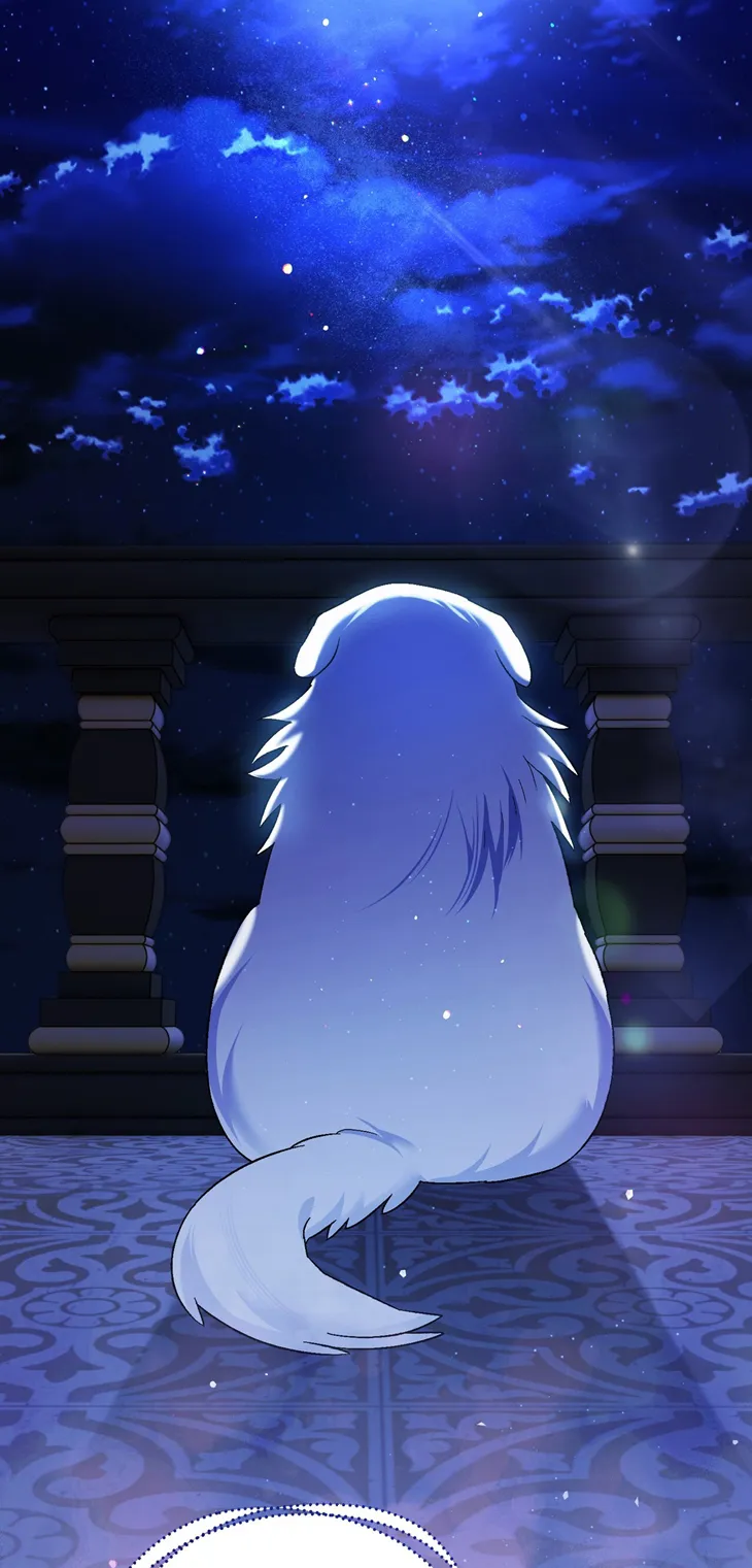 19 A Mi Querido Lobo