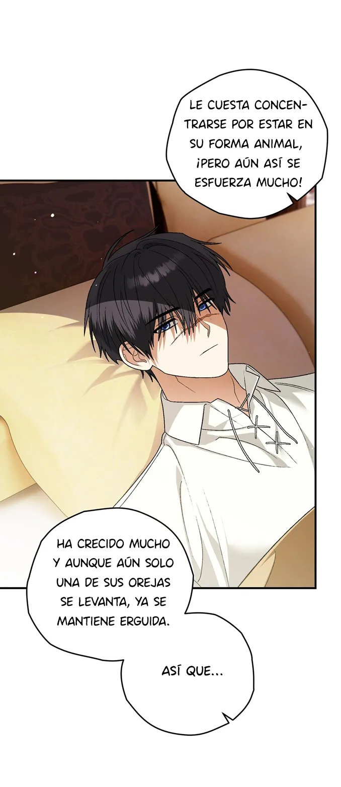 12 A Mi Querido Lobo