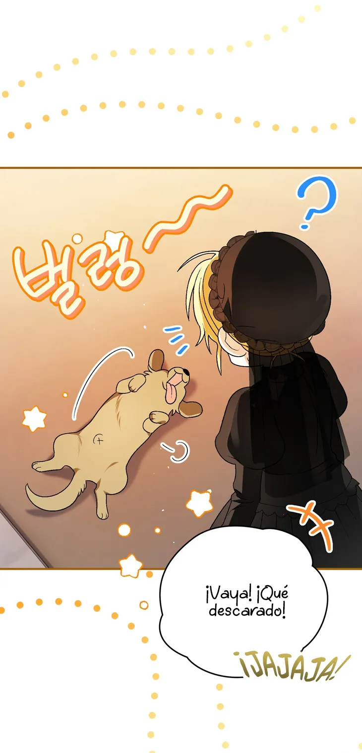 41 A Mi Querido Lobo