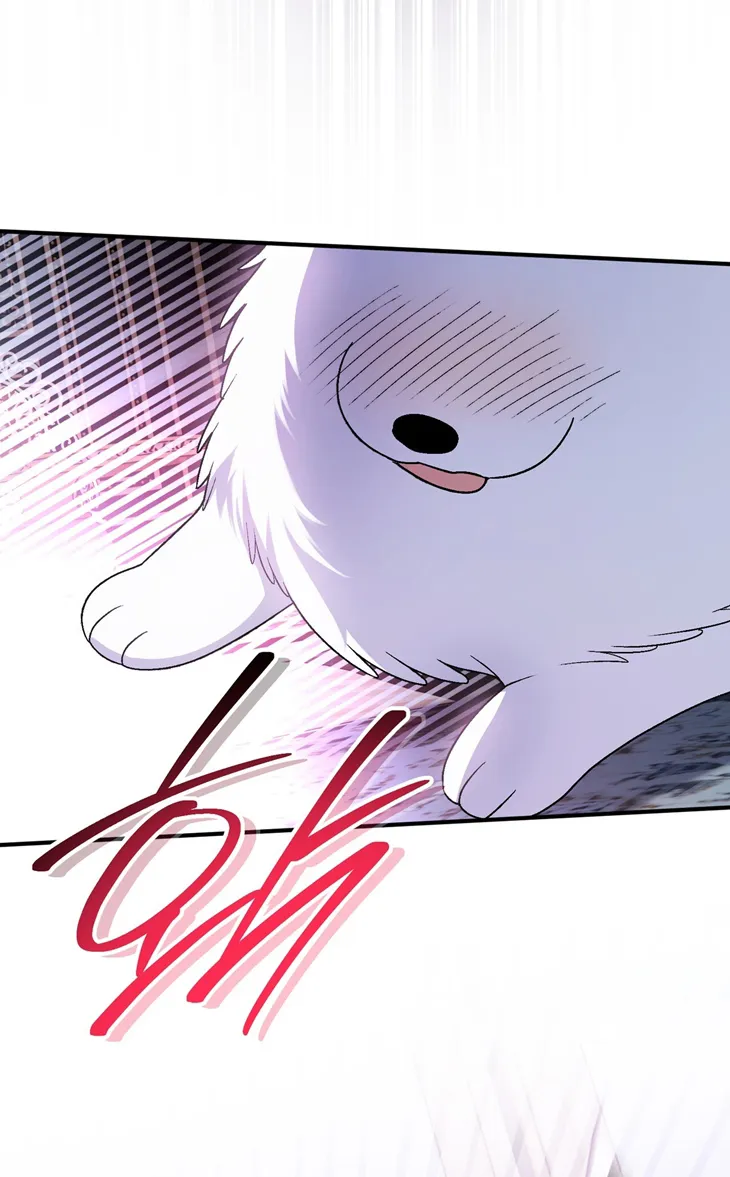 38 A Mi Querido Lobo