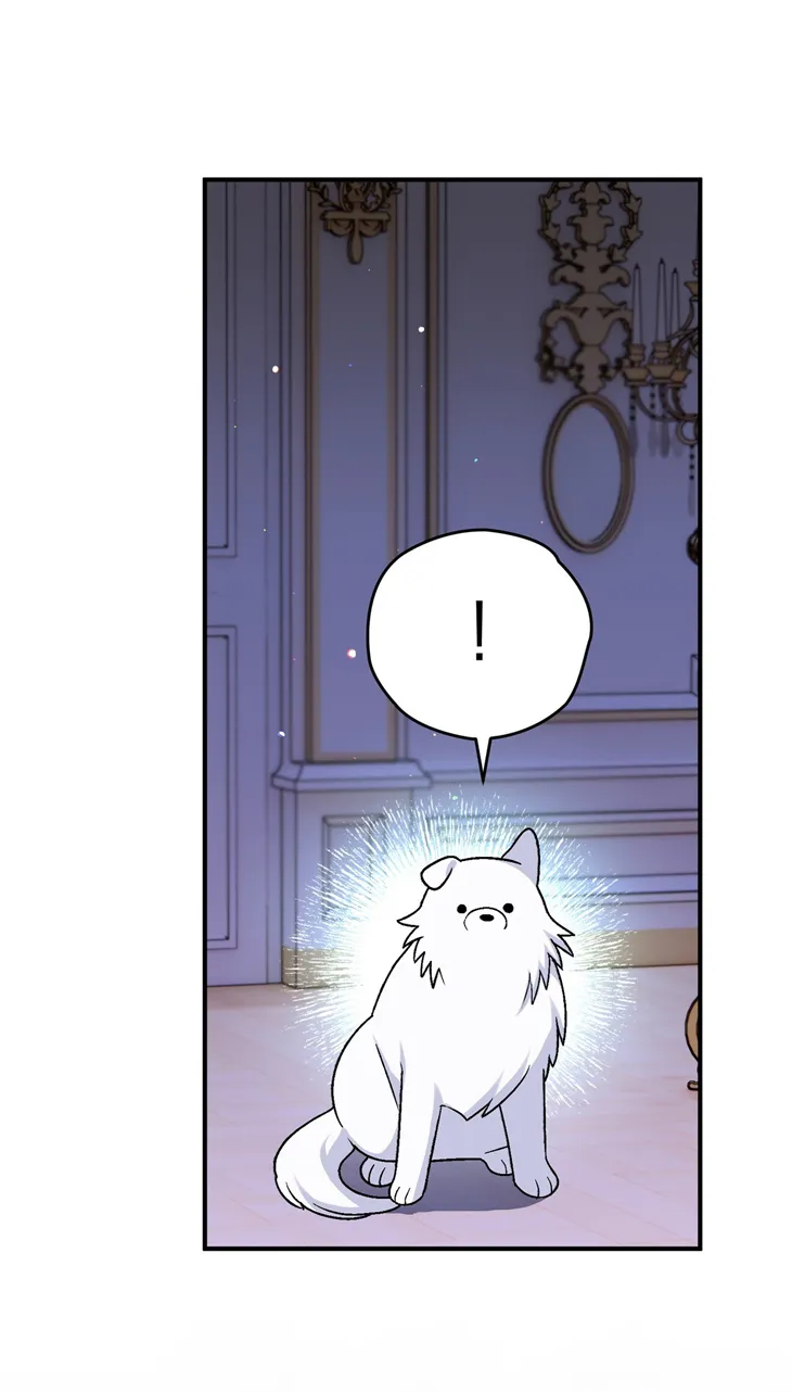 31 A Mi Querido Lobo