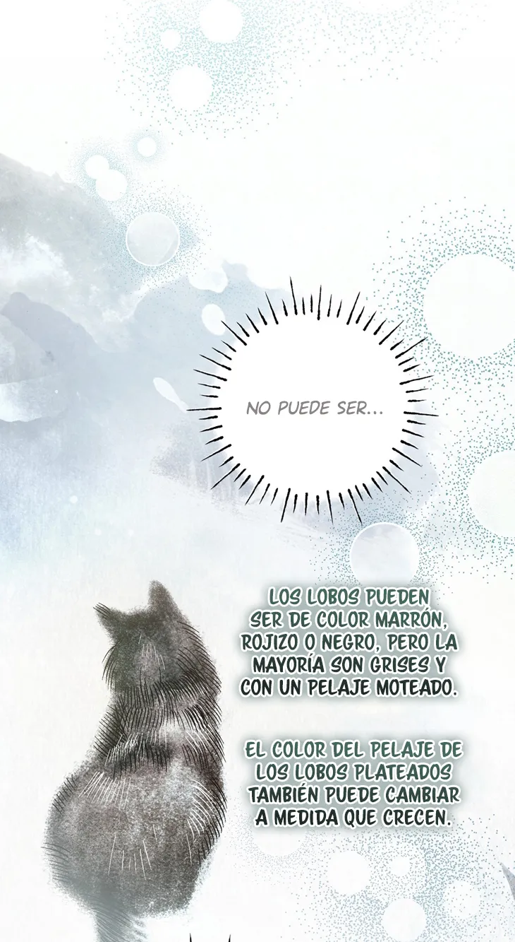 50 A Mi Querido Lobo