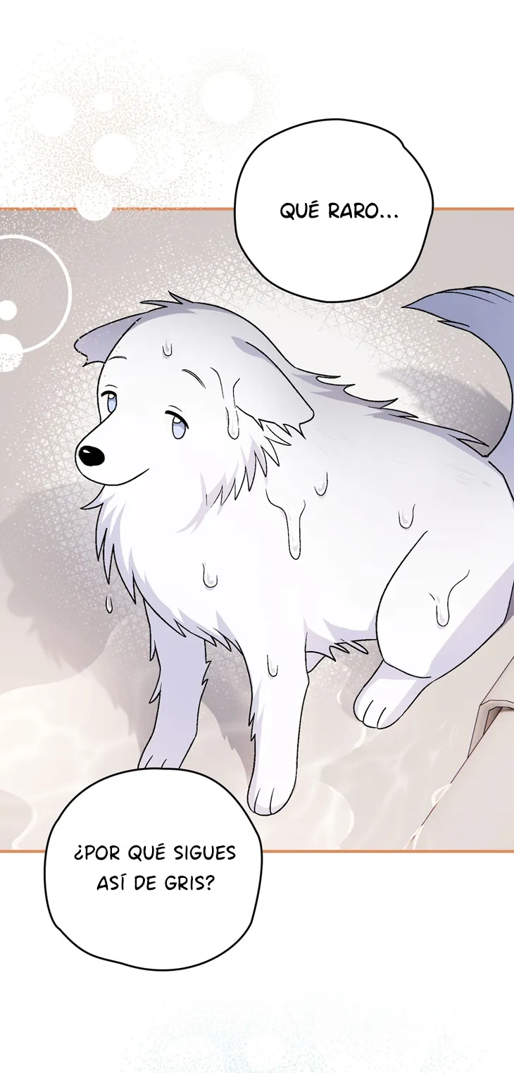 49 A Mi Querido Lobo