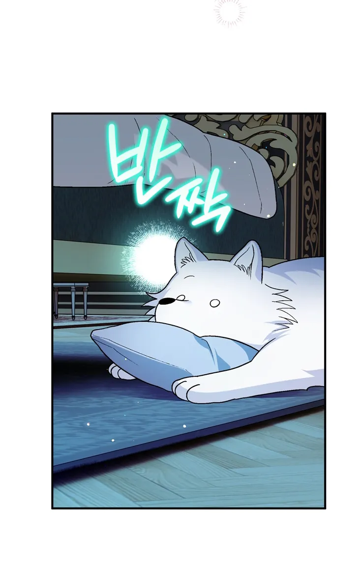 69 A Mi Querido Lobo