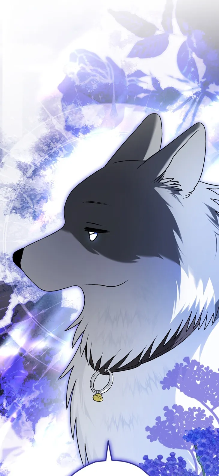 70 A Mi Querido Lobo