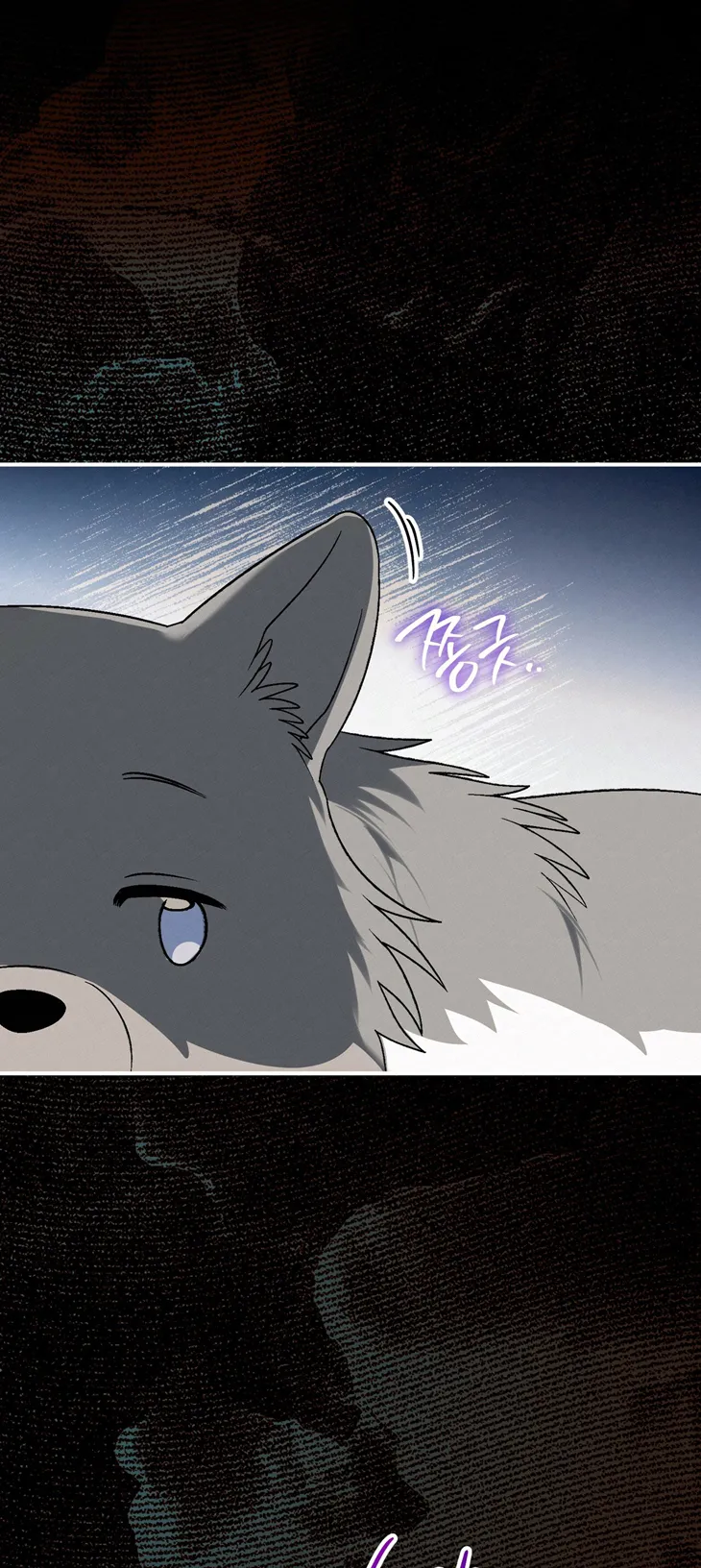 66 A Mi Querido Lobo