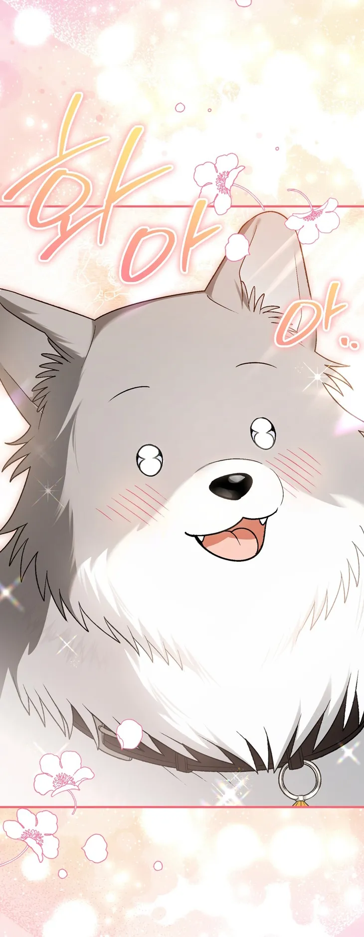 53 A Mi Querido Lobo