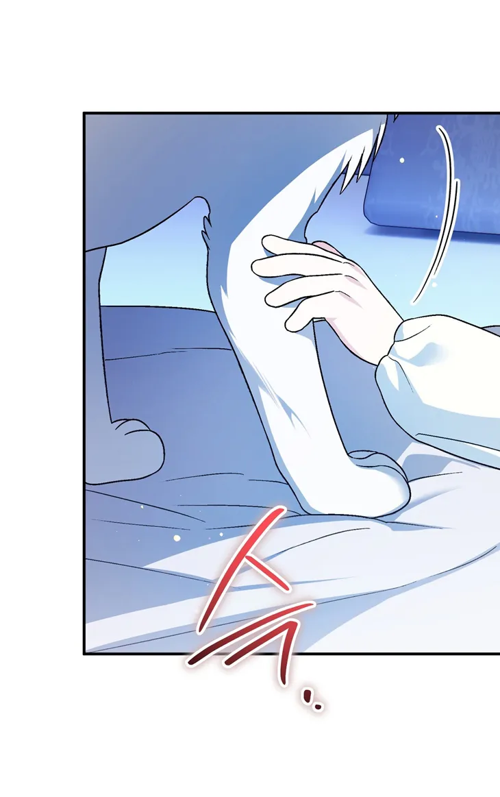 40 A Mi Querido Lobo