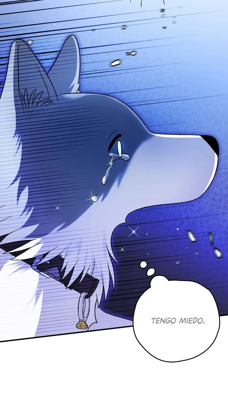 49 A Mi Querido Lobo