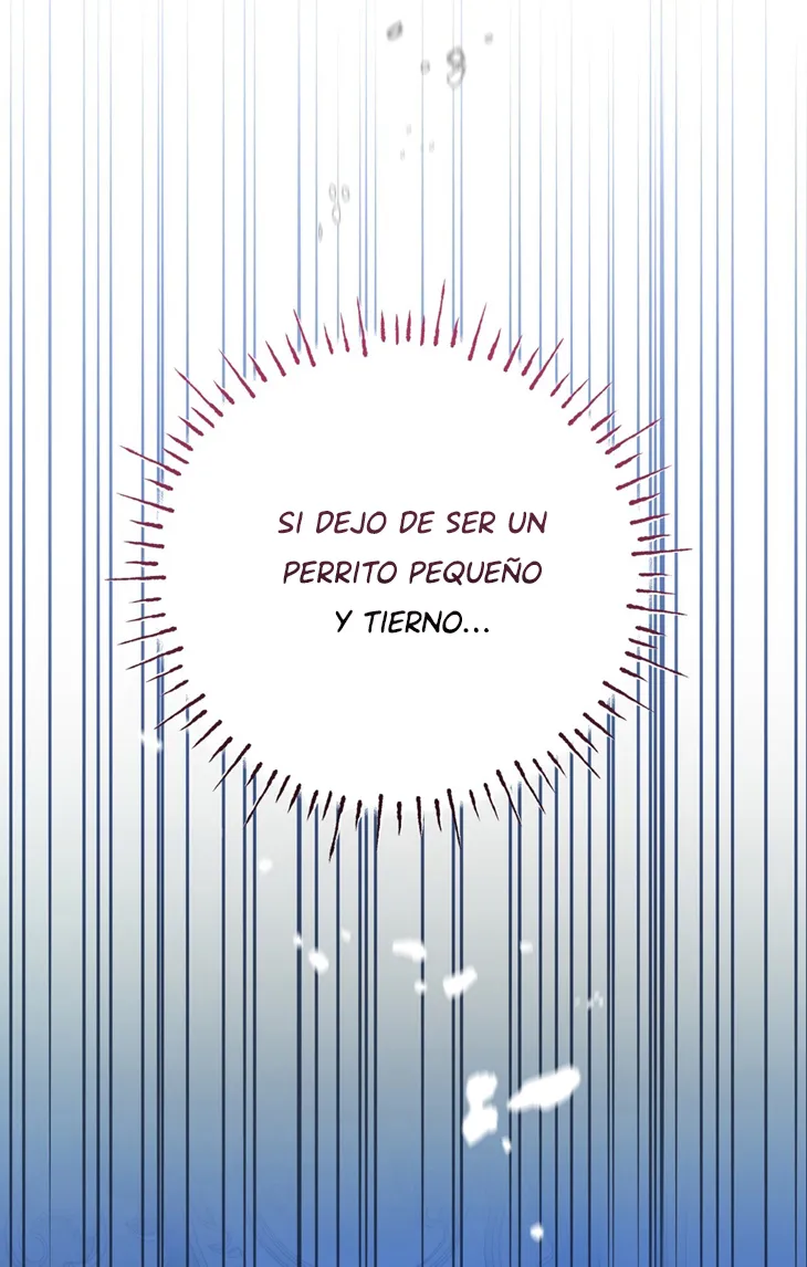 38 A Mi Querido Lobo