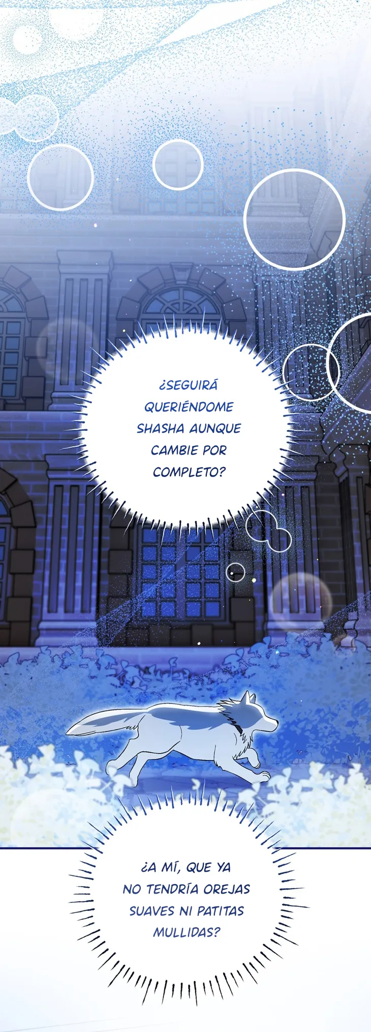 47 A Mi Querido Lobo