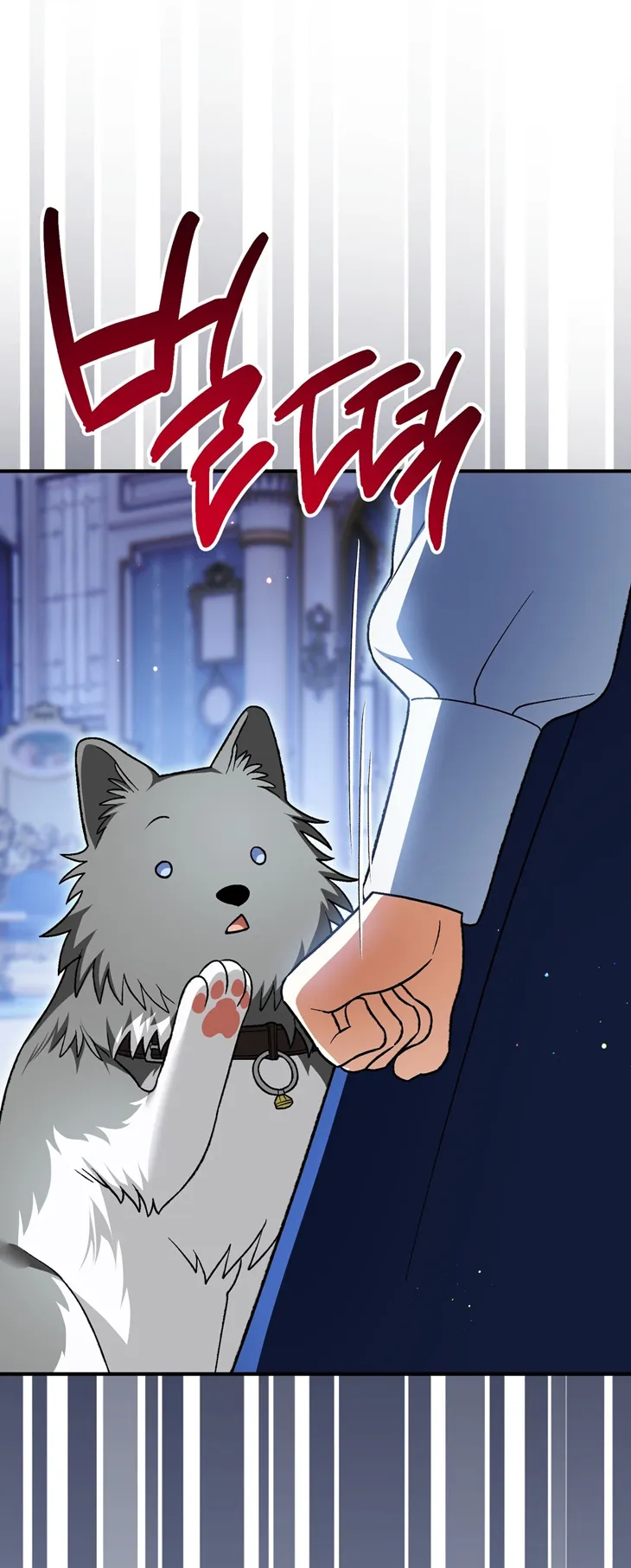 72 A Mi Querido Lobo