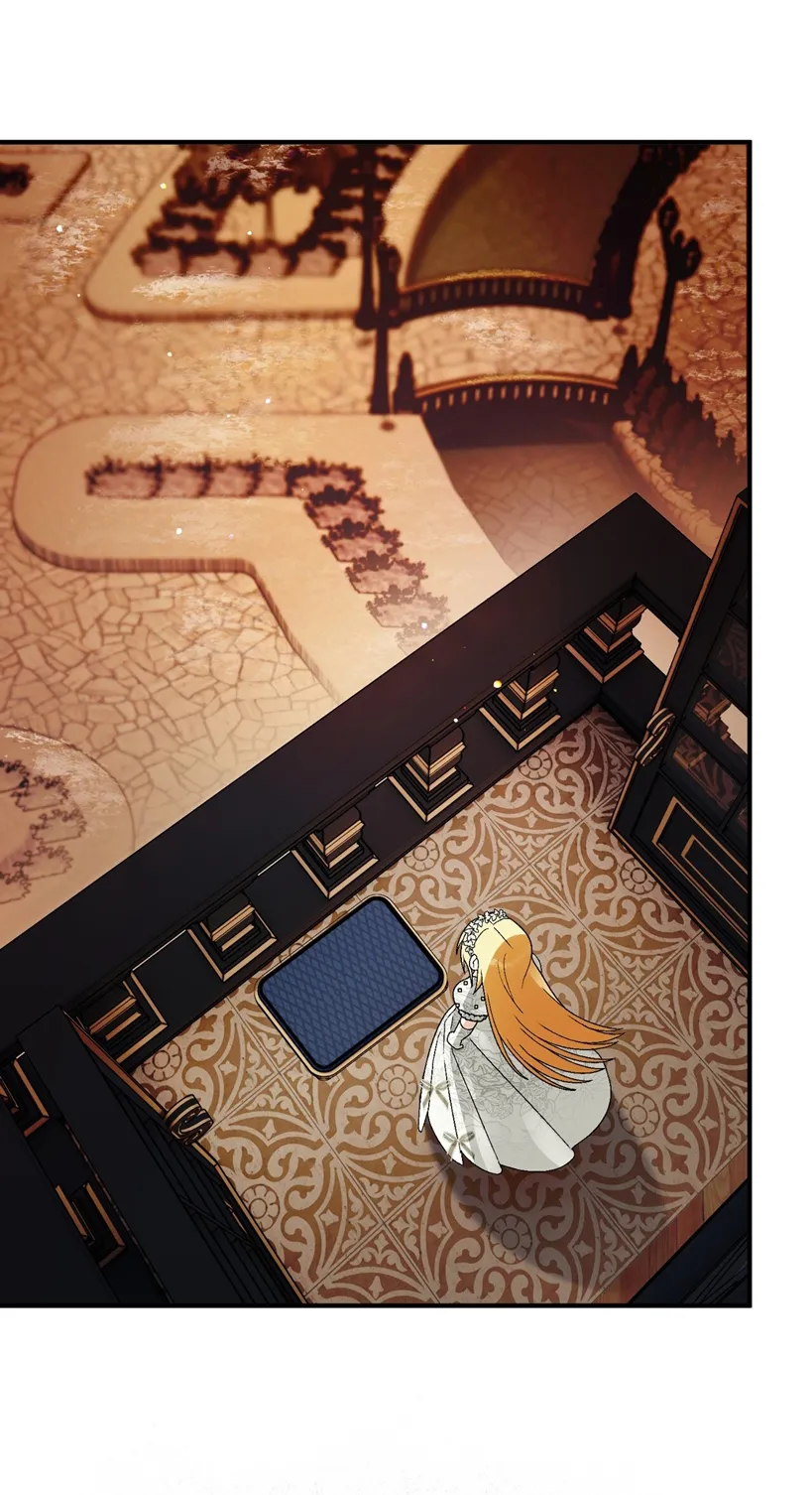 13 A Mi Querido Lobo