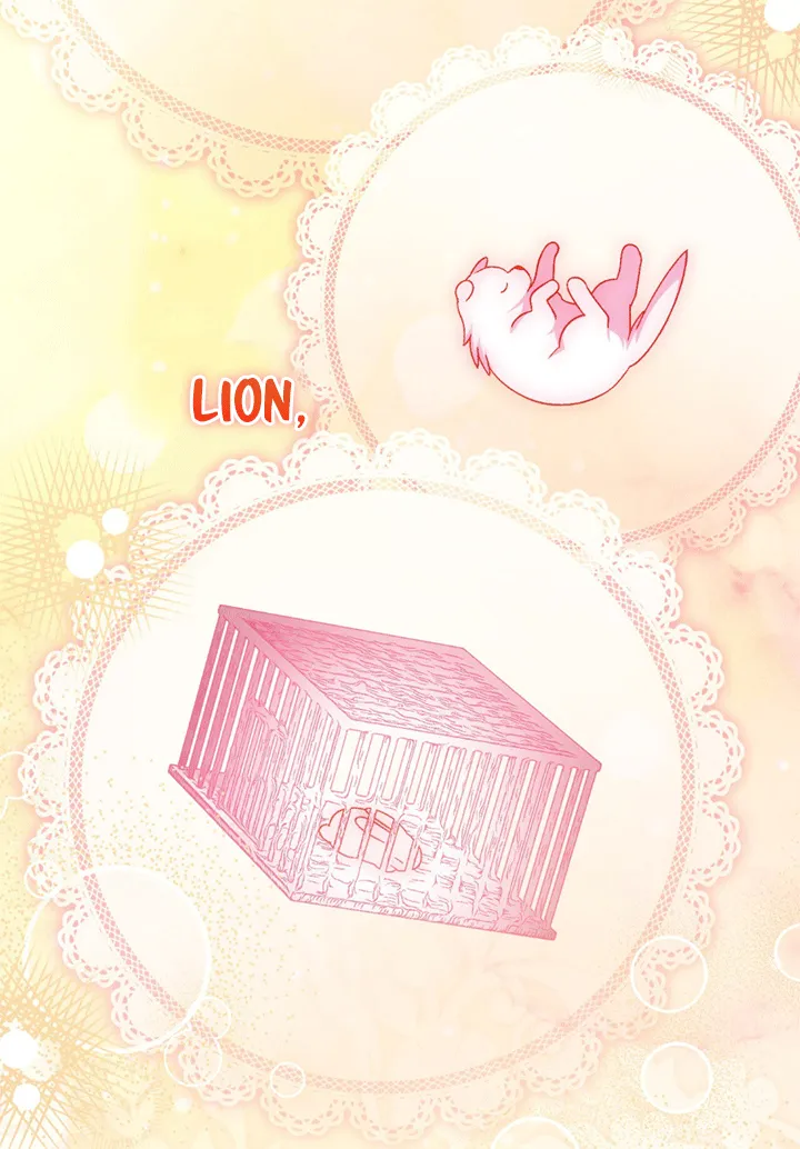 14 A Mi Querido Lobo