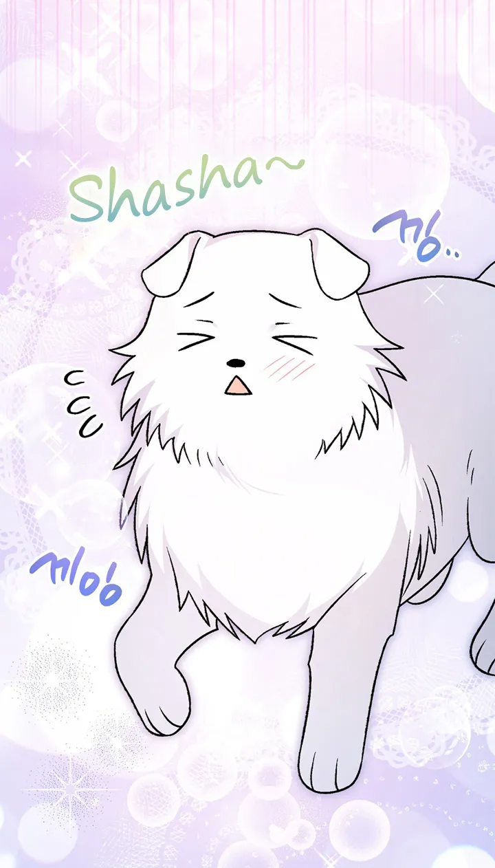 11 A Mi Querido Lobo