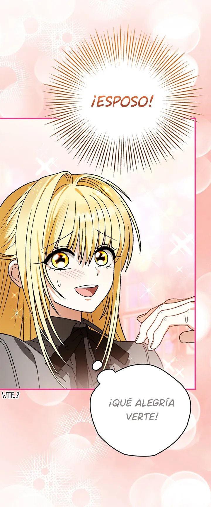 63 A Mi Querido Lobo