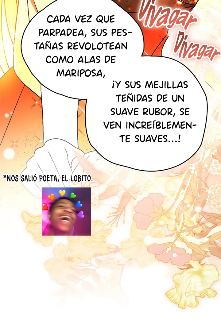 48 A Mi Querido Lobo