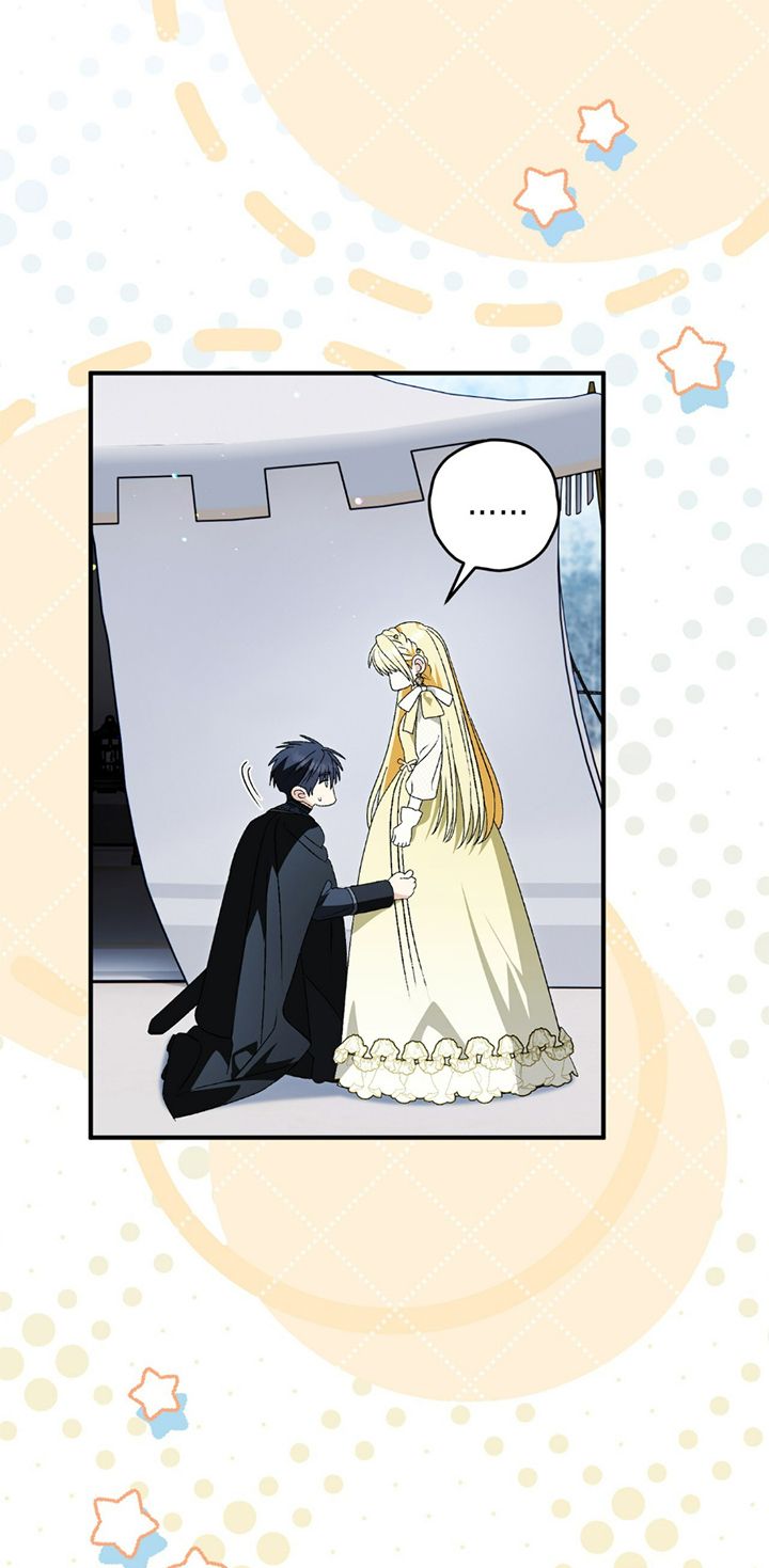 34 A Mi Querido Lobo